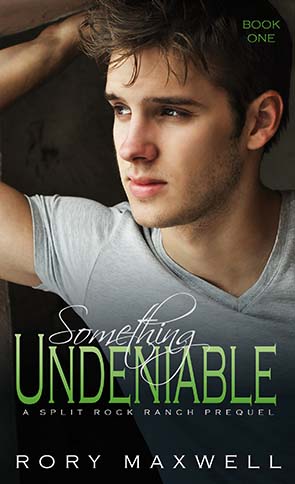 Something Undeniable Cover